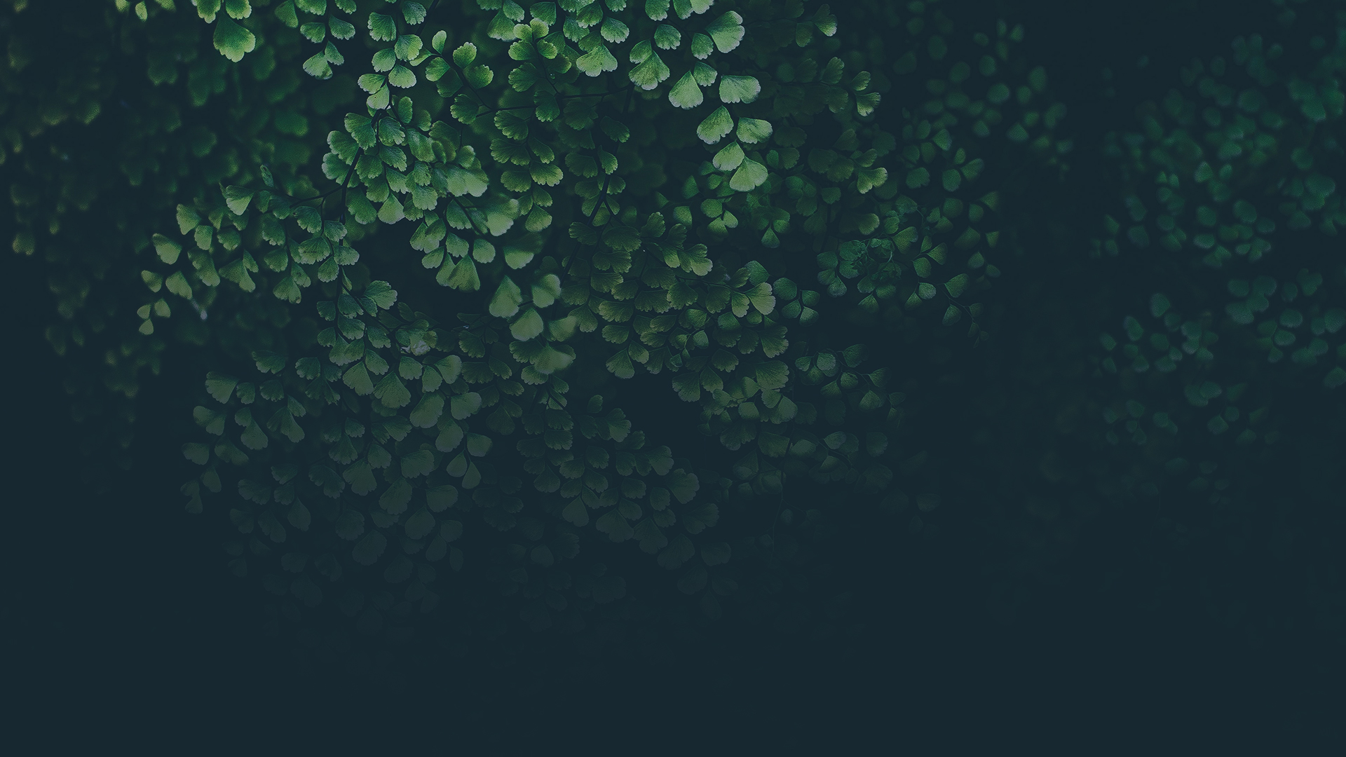 01_PNRLAT_HEADER 01_PNRLAT_HEADER