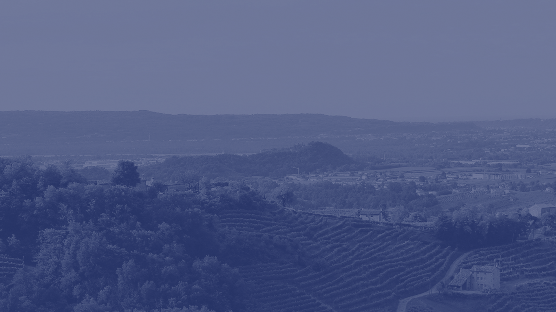 belazar_MOCKUP_VIGNERON_01_GENERAL_2880x1620 belazar_MOCKUP_VIGNERON_01_GENERAL_2880x1620